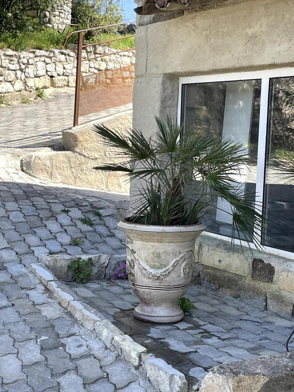 Le Castellas - Gite En Pleine Nature Montmirat エクステリア 写真